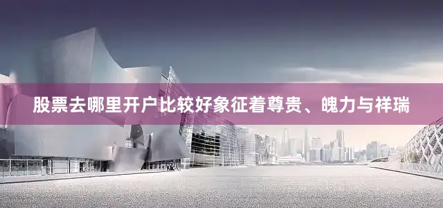 股票去哪里开户比较好象征着尊贵、魄力与祥瑞