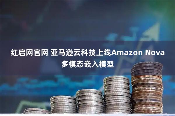 红启网官网 亚马逊云科技上线Amazon Nova多模态嵌入模型